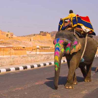 Offerte Viaggi Vacanze India