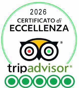 tripadvisor india viaggio